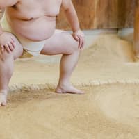 Tickets to Sumo Morning Training in Tokyo — gallery 3