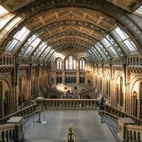 British Museum & National Gallery Private Guided Tour — gallery 2