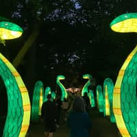 Zoo Atlanta: IllumiNights — gallery 2
