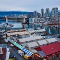 Vancouver: Guided Tour + Capilano Suspension Bridge Park Visit + Lunch — gallery 3