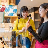 Tickets to Hiroshima Orizuru Tower — gallery 4