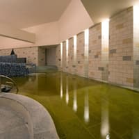 Spa LaQua Admission & Tokyo Subway Ticket (24-hour) — gallery 2