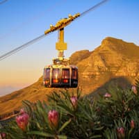 Cape Town Super Combi — gallery 1