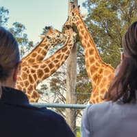Featherdale Wildlife Park Tickets — gallery 2
