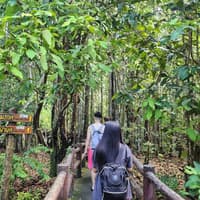 Tiger Cave Temple, Emerald Pool & Hot Springs: Full-Day Tour from Krabi — gallery 4