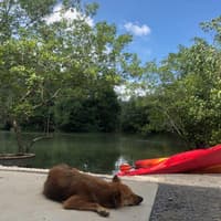 Pulau Ubin Kayaking & Cycling Full-Day Tour with Lunch — gallery 2