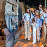 Porto City Full-Day Tour with Local Blends Tasting — gallery 4