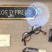 Entry Tickets to Sigmund Freud Museum — gallery 1