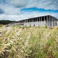 Stonehenge: Admission with Audio Guide + Premium Transport from London — gallery 3