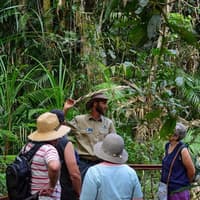 Cairns: Skyrail Rainforest Cableway — gallery 1