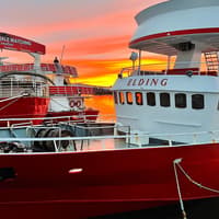 From Reykjavik: Midnight Sun Whale Watching Tour — gallery 3