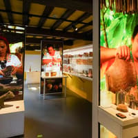 Choco-Story Брюссель: билеты в музей шоколада с дегустацией, Choco-Story Brussels Museum, Брюссель