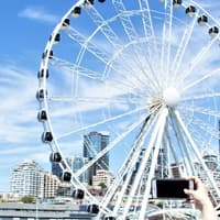 Seattle Harbor Tour & Sky View Seattle — gallery 2