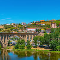 Historic Douro Valley Guided Tour with 1-Hour Pinhão Cruise, Traditional Lunch & Wine Tastings — gallery 1