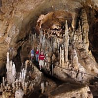 Twisted Trails at Natural Bridge Caverns: Entry Ticket — gallery 1