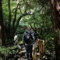 Victoria & Butchart Gardens: Day Trip from Vancouver — gallery 2