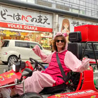 Osaka: Shinsaibashi, Dotonbori & Namba 60-Min Go-Karting Experience by STREETKART — gallery 2