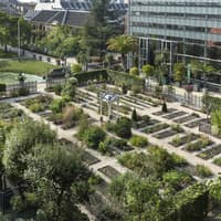 Hortus Botanicus Leiden: Sıra Beklemeden Giriş Bileti, Hortus Botanicus Leiden, Leiden