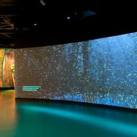 Audubon Aquarium & Insectarium: Combo Entry Ticket — gallery 3