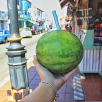 Historical Malacca Tour with Lunch from Kuala Lumpur — gallery 2
