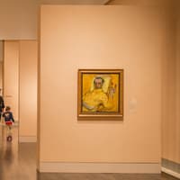 The Museum of Fine Arts, Houston: ALL ACCESS Ticket — gallery 1