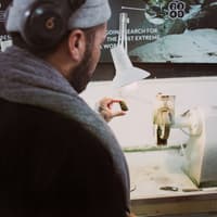 40 Mins Jade Carving Rotorua Guided Tour — gallery 3