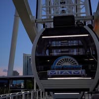 Skyviews Miami Observation Wheel: Entry Ticket — gallery 2