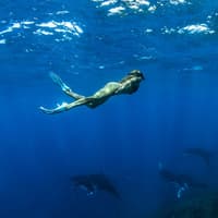Tur Sehari Snorkeling Nusa Penida & Manta Point, Jl. Tukad Punggawa No.238, Bali