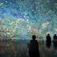 The New Immersive Van Gogh - The Next Chapter Las Vegas: Entry Ticket — gallery 4