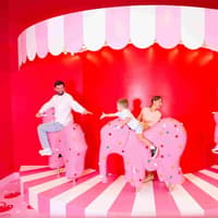 Museum of Ice Cream Miami: Entry Ticket — gallery 4