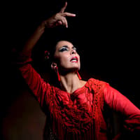 Sensaciones - Teatro Flamenco Granada — gallery 1