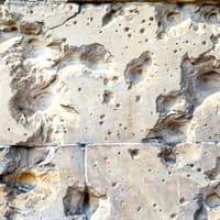 World War II And The Third Reich Walking Tour Of Berlin — gallery 3