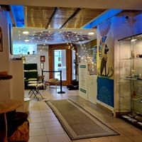 Cat Museum Budapest: Entry Ticket + Audio Guide — gallery 4