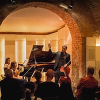 Mozarthaus: Wiener Ensemble Concert & Museums Entry Tickets — gallery 2