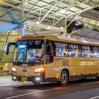 Bus Transfer: Incheon Airport to Seoul City by Airport Limousine — gallery 3