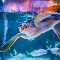SEA LIFE Bangkok Tickets — gallery 2