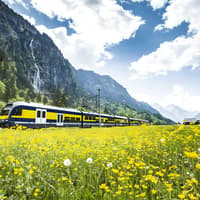 Da Lucerna: Grindelwald First - Avventura Estrema, Tourist Bus Parking Landenberg, Lucerna