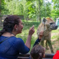 Safari Thoiry: Entry Ticket