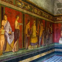 Pompeii Skip-the-Line Tickets with Physical Guidebook