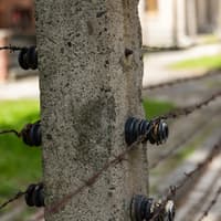 Auschwitz-Birkenau: One-Way Shuttle to/from Krakow