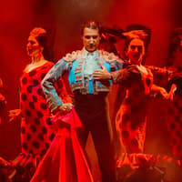 Costa Adeje: Olé Flamenco Show — gallery 1