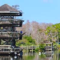 Gatorland Tickets with Screamin’ Gator Zip Line Access — gallery 4