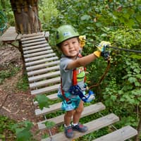 Treetops Adventure: Belgrave Park