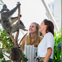 [Save upto 55%] Sydney 4 Attractions Pass