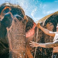 Phuket Elephant Care: Feed, Shower & Mud Spa Guided Tours with Optional Transfers — gallery 1