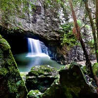 Natural Bridge & Springbrook Waterfalls Tour — gallery 4