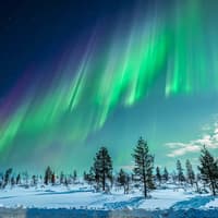 Tromso: Northern Lights Chase Tour — gallery 2