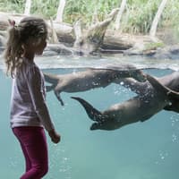 Seattle CityPASS® — gallery 3
