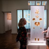 The Museum of Fine Arts, Houston: ALL ACCESS Ticket — gallery 3