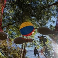 Treetops Adventure: Central Coast